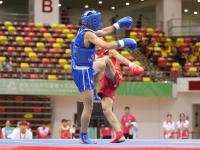 UFC淘汰赛，燕山海豚队与岭南铁骑队绝杀，VAR改判成焦点！客场静默反击的简单介绍